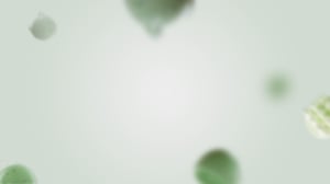 fondo-landing-2