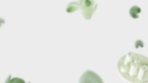 fondo-landing-blanco-03